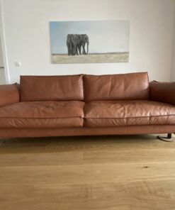 Ledercouch